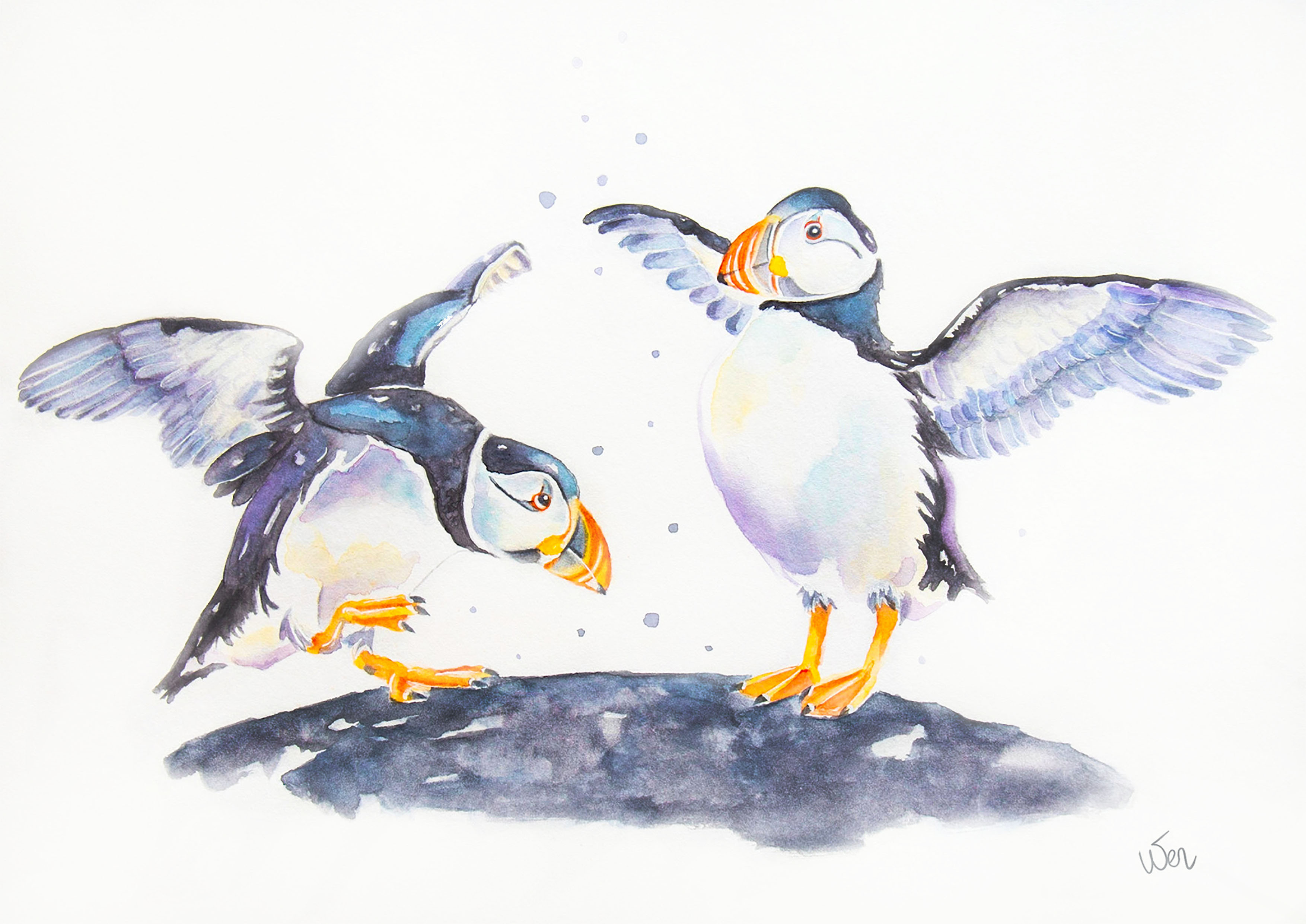 Puffins Aquarel